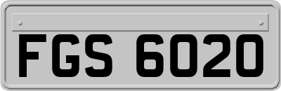 FGS6020