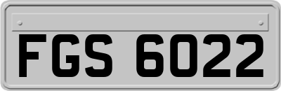 FGS6022