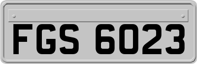 FGS6023