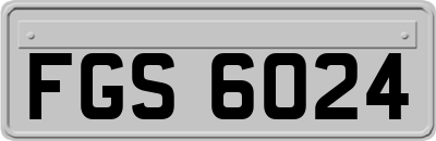 FGS6024