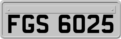 FGS6025