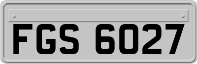FGS6027