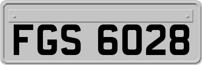 FGS6028