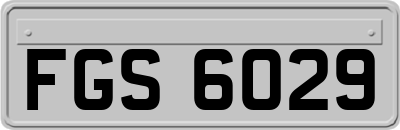 FGS6029