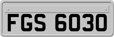 FGS6030
