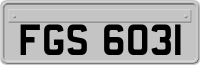 FGS6031