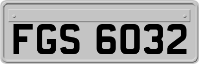 FGS6032