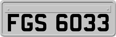 FGS6033