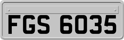 FGS6035