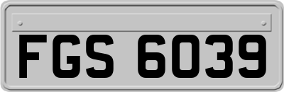 FGS6039