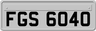 FGS6040