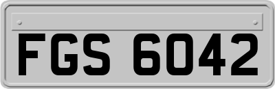 FGS6042
