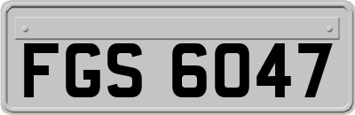 FGS6047