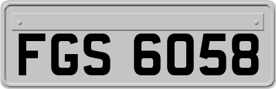 FGS6058