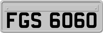 FGS6060