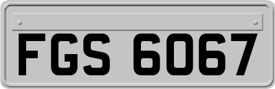 FGS6067