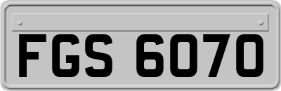 FGS6070