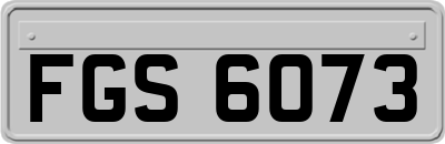 FGS6073
