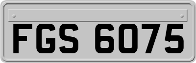 FGS6075