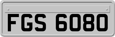 FGS6080