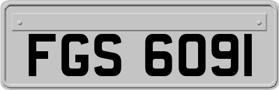 FGS6091
