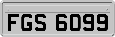 FGS6099