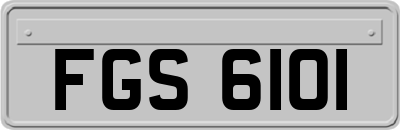 FGS6101