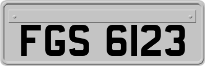 FGS6123