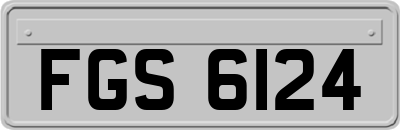 FGS6124