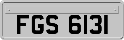 FGS6131