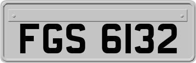 FGS6132