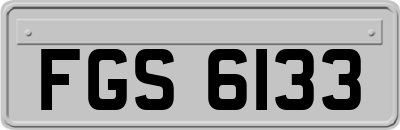 FGS6133
