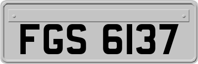 FGS6137
