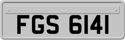 FGS6141