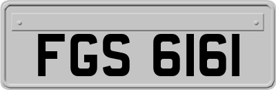 FGS6161