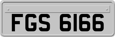 FGS6166