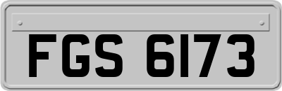 FGS6173