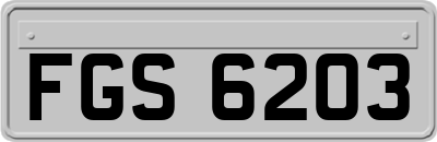 FGS6203