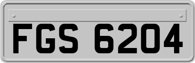 FGS6204