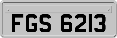 FGS6213