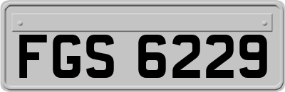 FGS6229