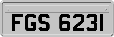 FGS6231