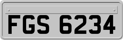 FGS6234