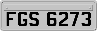 FGS6273