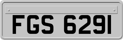 FGS6291