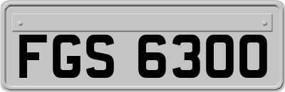 FGS6300