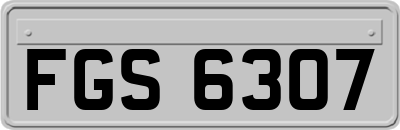 FGS6307