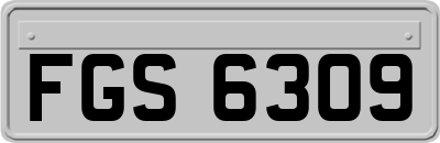 FGS6309