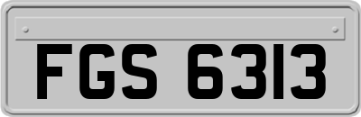 FGS6313