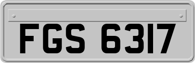 FGS6317